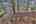Blurred preview of media: IMG_9766_7_8_easyHDR