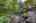 Blurred preview of media: SW Boundary st-48
