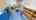 Blurred preview of media: Gateway-Head-Start-05262017_072606