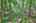 Blurred preview of media: IMG_4616_7_8_easyHDR