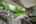 Blurred preview of media: 50