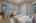Blurred preview of media: 33 Staged v1