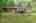 Blurred preview of media: 67 Quaker Lane Bolton Massachusetts Job 39838 0014