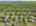 Blurred preview of media: 22-lauren-lane-sussex-nj-usa-drone-006