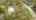 Blurred preview of media: MAX_0027