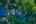 Blurred preview of media: 4Sept0017