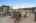 Blurred preview of media: 51