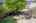 Blurred preview of media: 1-15