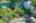 Blurred preview of media: k1