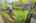 Blurred preview of media: 61