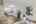 Blurred preview of media: IMG_4743