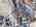 Blurred preview of media: DJI_20250127141827_0134_D_5_D_6_D_easyHDR