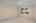 Blurred preview of media: 1-33