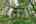 Blurred preview of media: IMG_3141_2_3_easyHDR