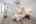 Blurred preview of media: DSC09347