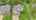 Blurred preview of media: DJI_20261001114128_0799_D