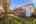 Blurred preview of media: 050