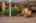 Blurred preview of media: Firebrand Dr-53