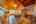 Blurred preview of media: TEL00661-HDR
