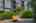 Blurred preview of media: River Terrace 16
