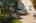 Blurred preview of media: 20250908L_lg_JW0068