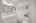 Blurred preview of media: DSC00694