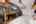 Blurred preview of media: 5D0A7662