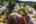 Blurred preview of media: 1-62