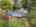 Blurred preview of media: 1-40