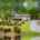 Blurred preview of media: 1-926-0679