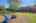 Blurred preview of media: IMG_2203