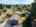 Blurred preview of media: 1-32