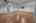 Blurred preview of media: 22