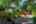 Blurred preview of media: 11199 E Wesley Ave EXT 00007