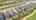 Blurred preview of media: DJI_0533