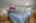 Blurred preview of media: 22