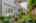 Blurred preview of media: 58