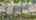 Blurred preview of media: 079