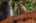 Blurred preview of media: Westlake Village 06