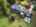 Blurred preview of media: dji_fly_20251016_121800_414_1760644031399_photo