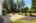 Blurred preview of media: 1-61
