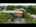 Blurred preview of media: Unknown media
