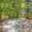 Blurred preview of media: 1-926-7923