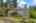 Blurred preview of media: SW Boundary st-06