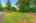 Blurred preview of media: 6