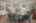 Blurred preview of media: 14