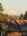 Blurred preview of media: 20250115_160749