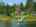 Blurred preview of media: DJI_20250731141531_0273_D