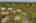Blurred preview of media: Aerial 24
