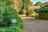 Blurred preview of media: 75